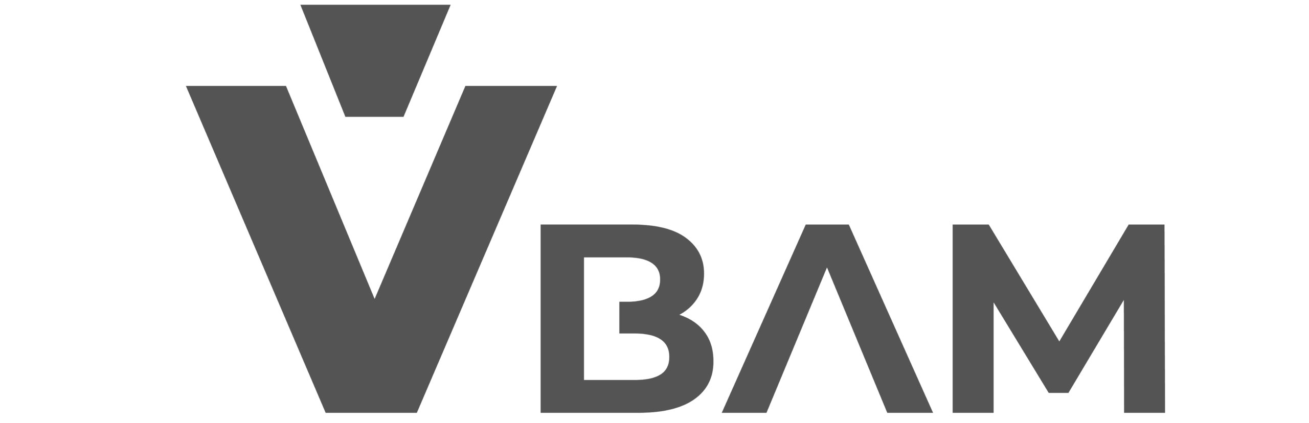 VBAM